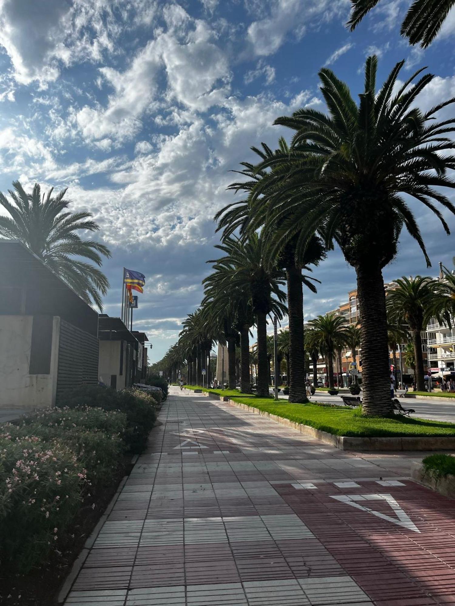 Michelangelo Camar Salou